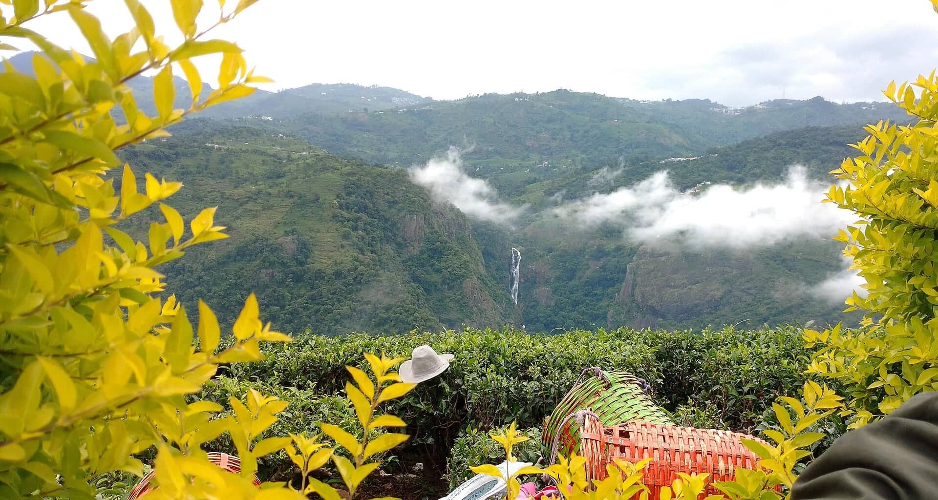 Chasing Waterfalls: Catherine Falls, Elk Falls and Beyond
