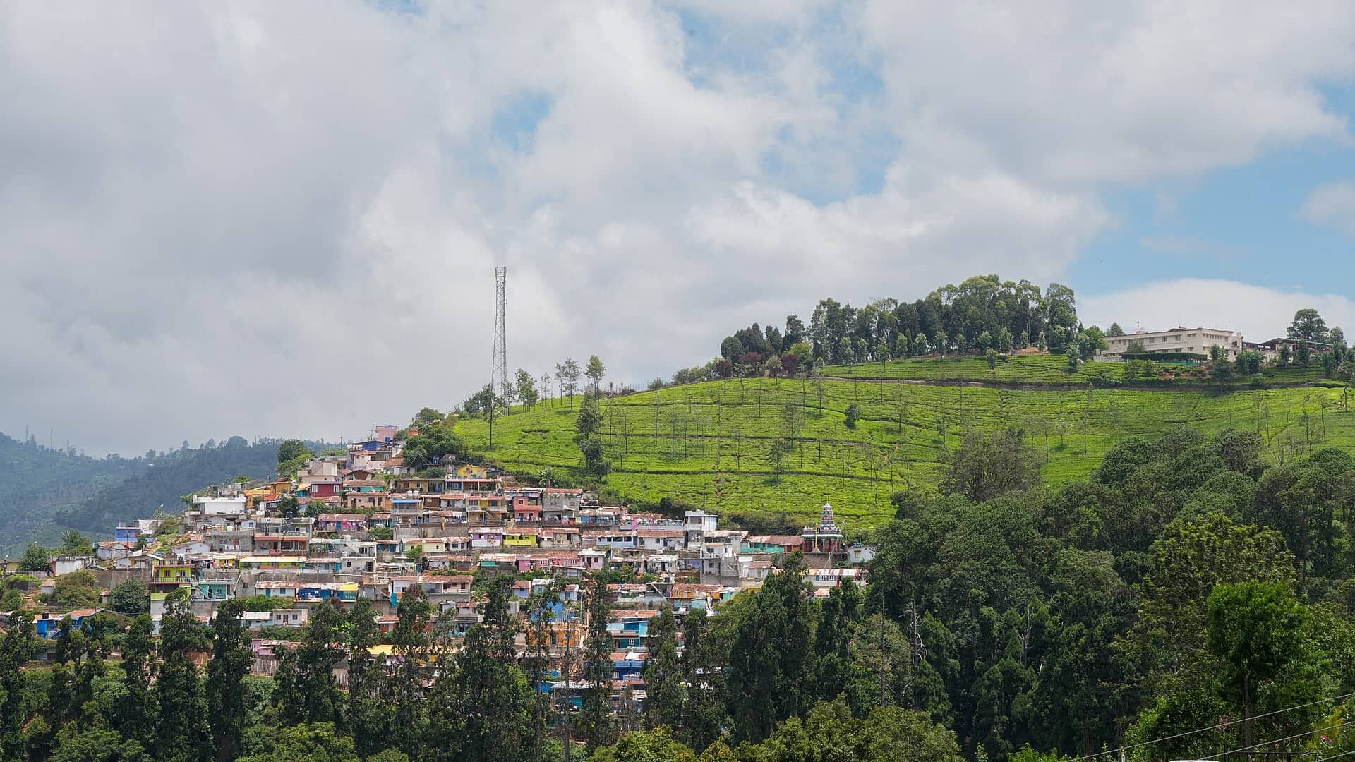 Tea estate near Coonoor